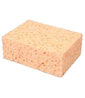 Eponge