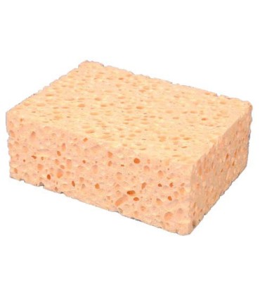 Eponge