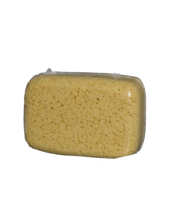 Eponge