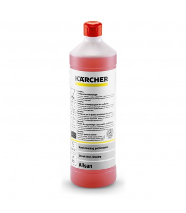 Détergent d'entretien sanitaire Allsan Kärcher, 1 litre