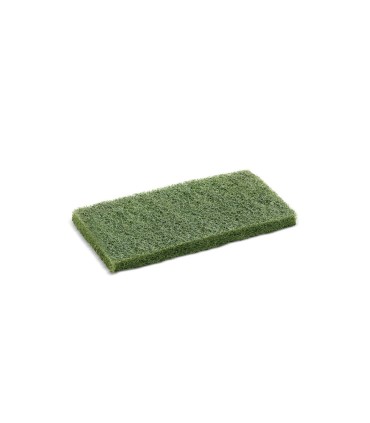 Pad Kärcher vert
