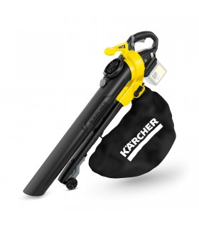 Aspirateur à feuille Kärcher 