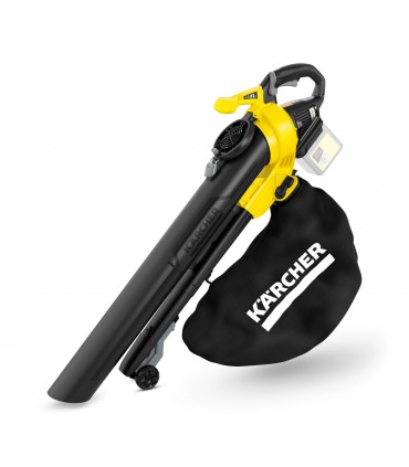 Aspirateur à feuille Kärcher 