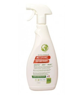 Détartrant ECO KING menthe