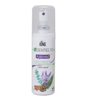 Désodorisant King Essentiel 100 ml